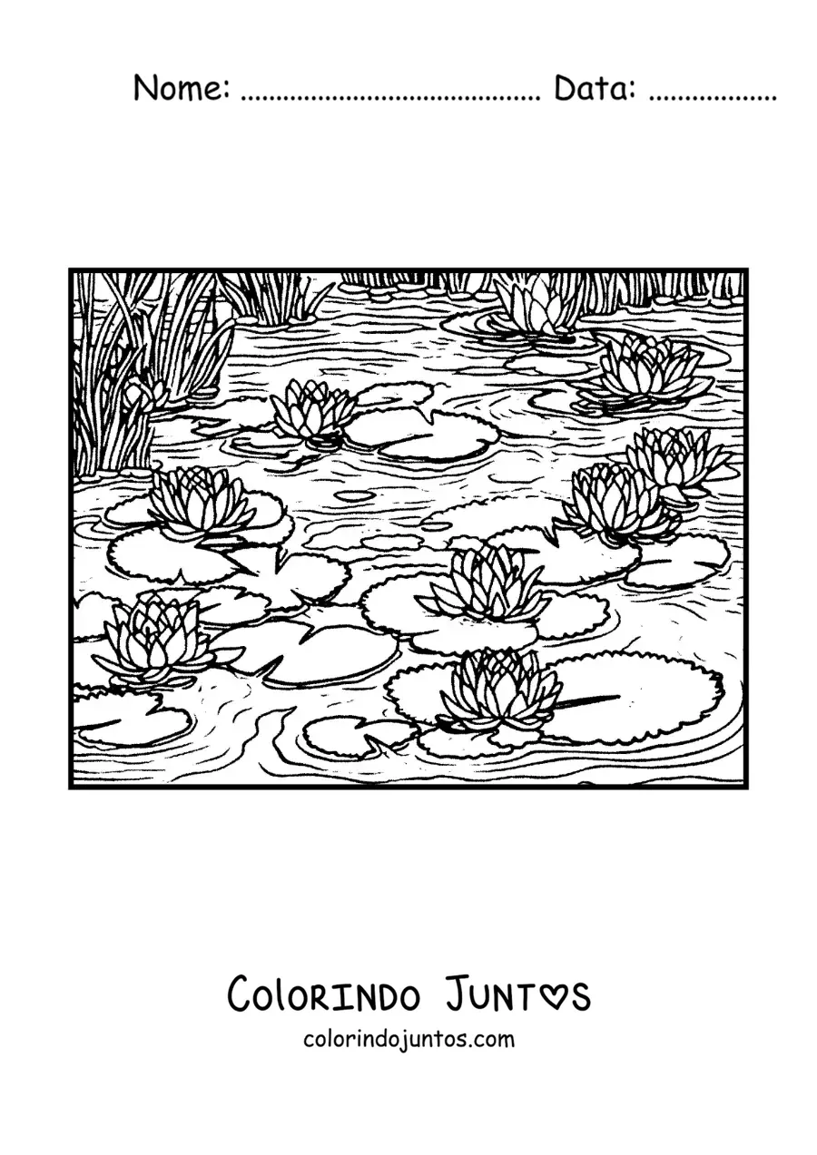 Desenho para colorir de nenúfares no estilo de Monet