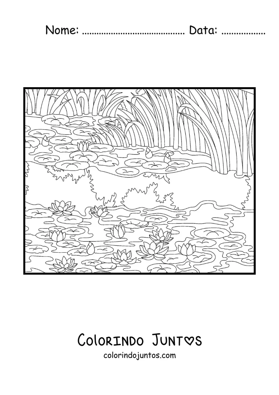 Desenho para colorir de nenúfares impressionistas de Monet