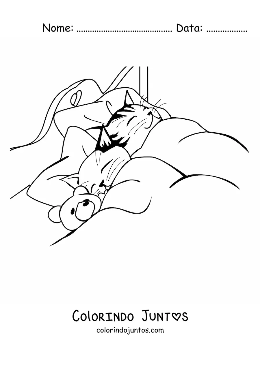 Desenho para colorir de dois gatos dormindo em uma cama junto a um urso de pelúcia