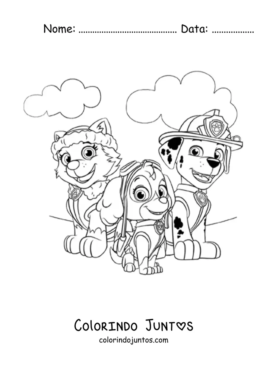 Desenho para colorir da Everest, da Skye e do Marshall da Patrulha Canina
