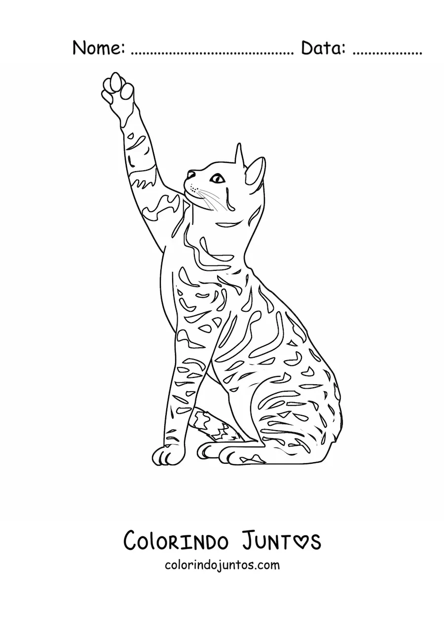 Desenho para colorir de um gato realista com manchas