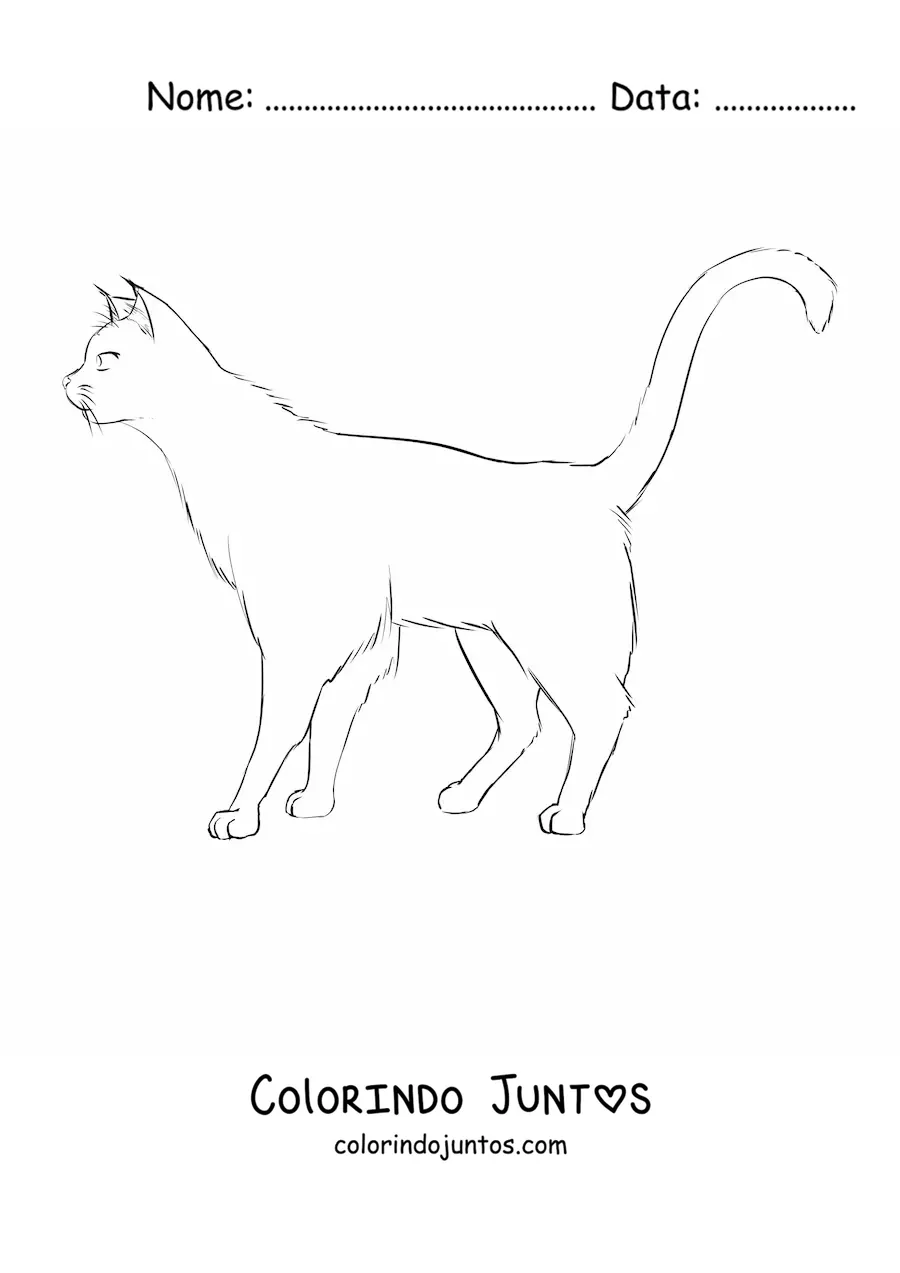 Desenho para colorir de um gato caminhando
