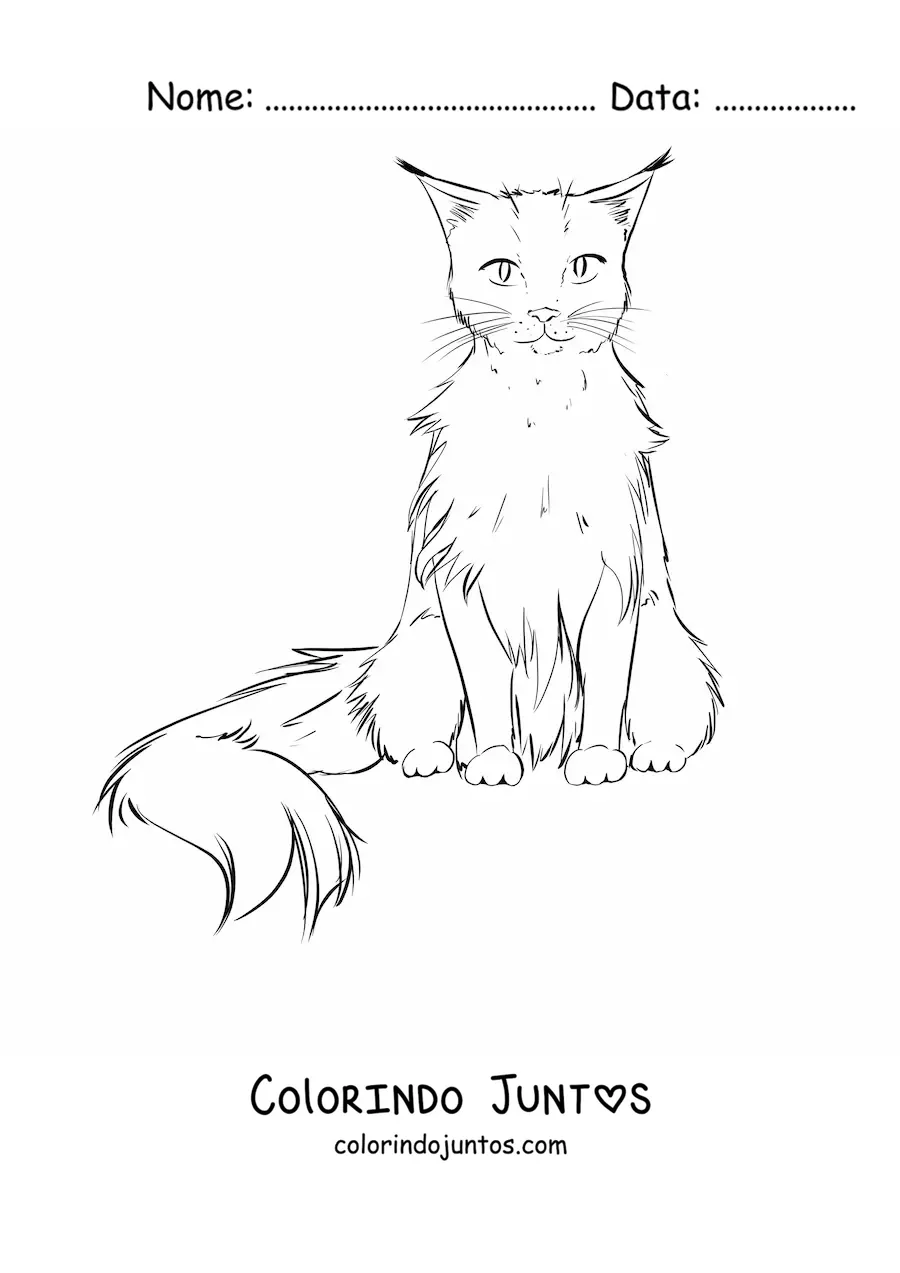 Desenho para colorir de um gato realista sentado