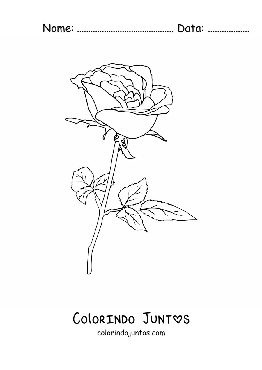 Desenho para colorir de uma rosa com folhas