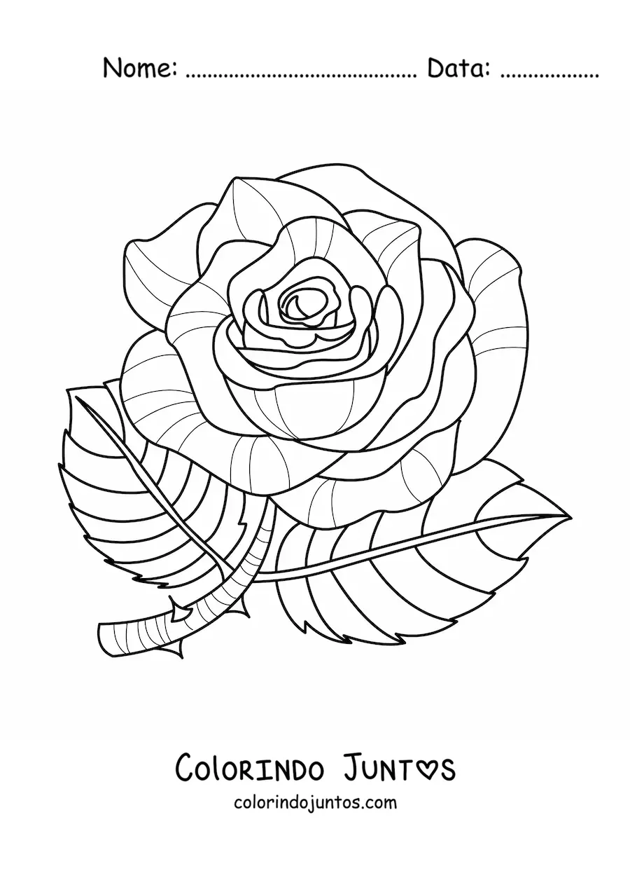 Desenho para colorir de uma rosa grande com folhas e espinhos