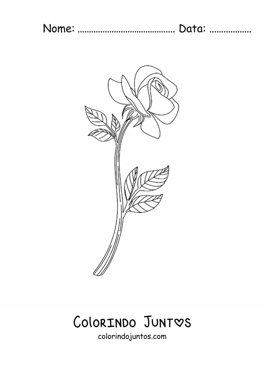 Desenho para colorir de uma rosa realista pequena com folhas