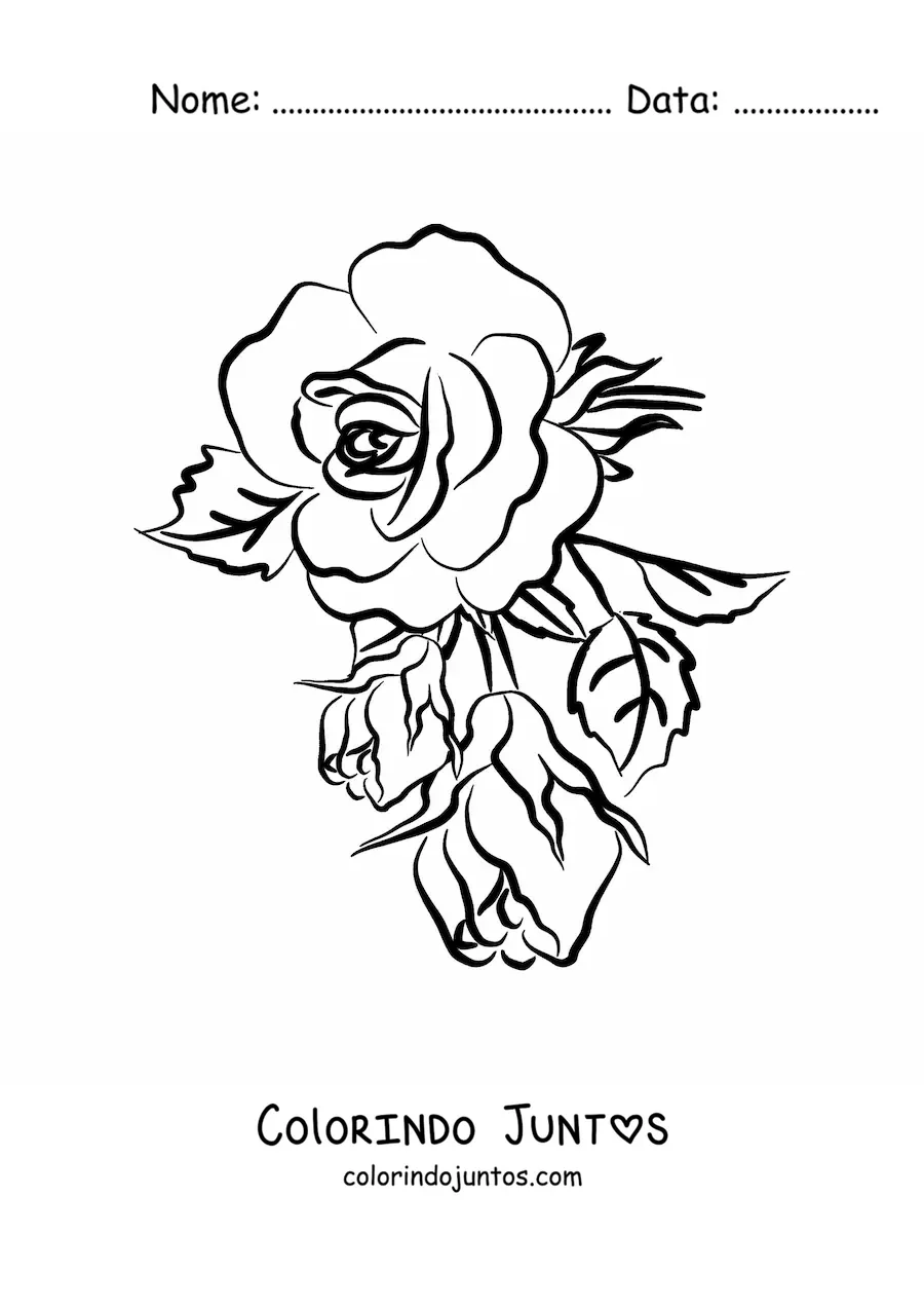 Desenho para colorir de uma rosa grande simples com folhas