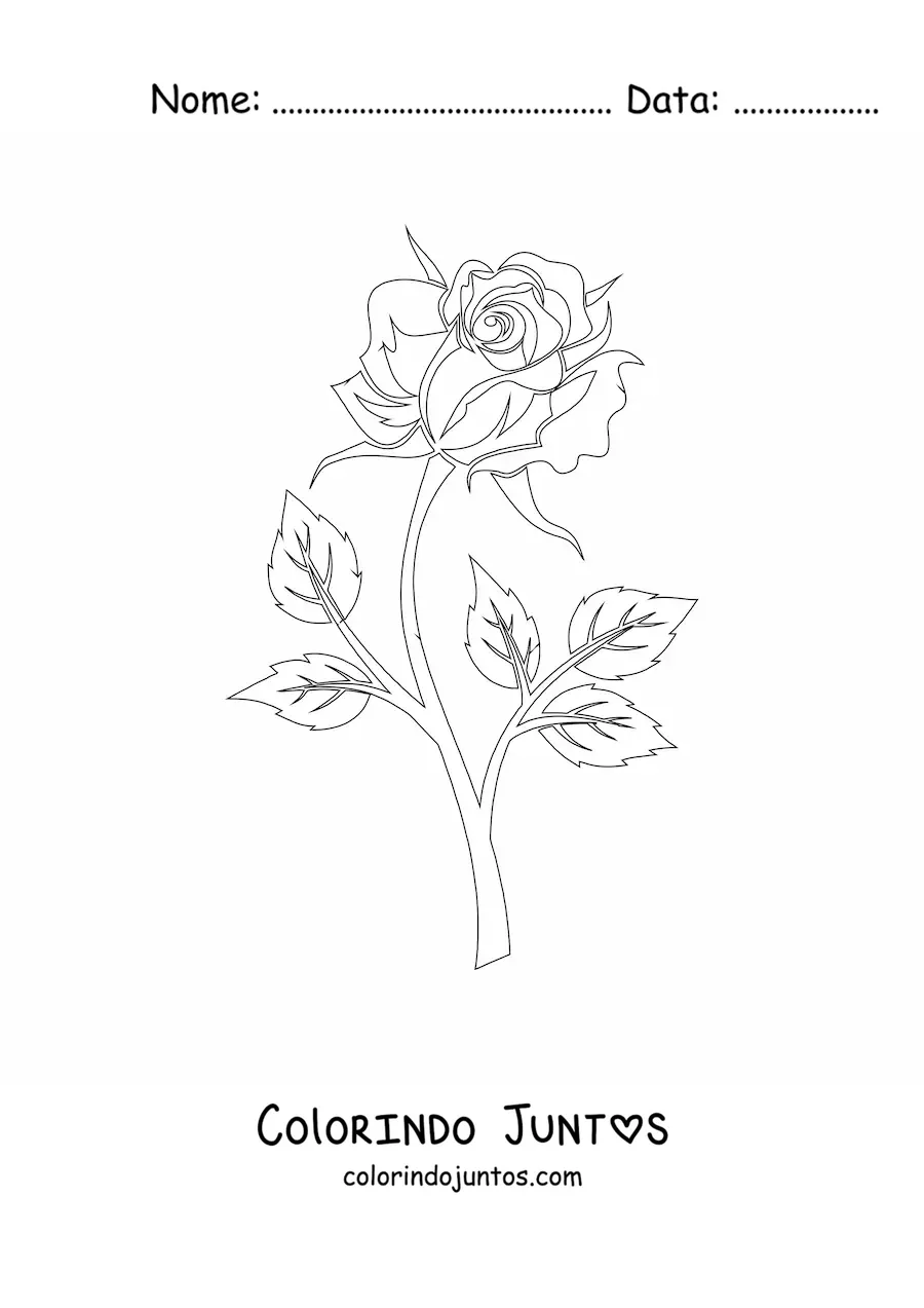 Desenho para colorir de uma rosa com caule