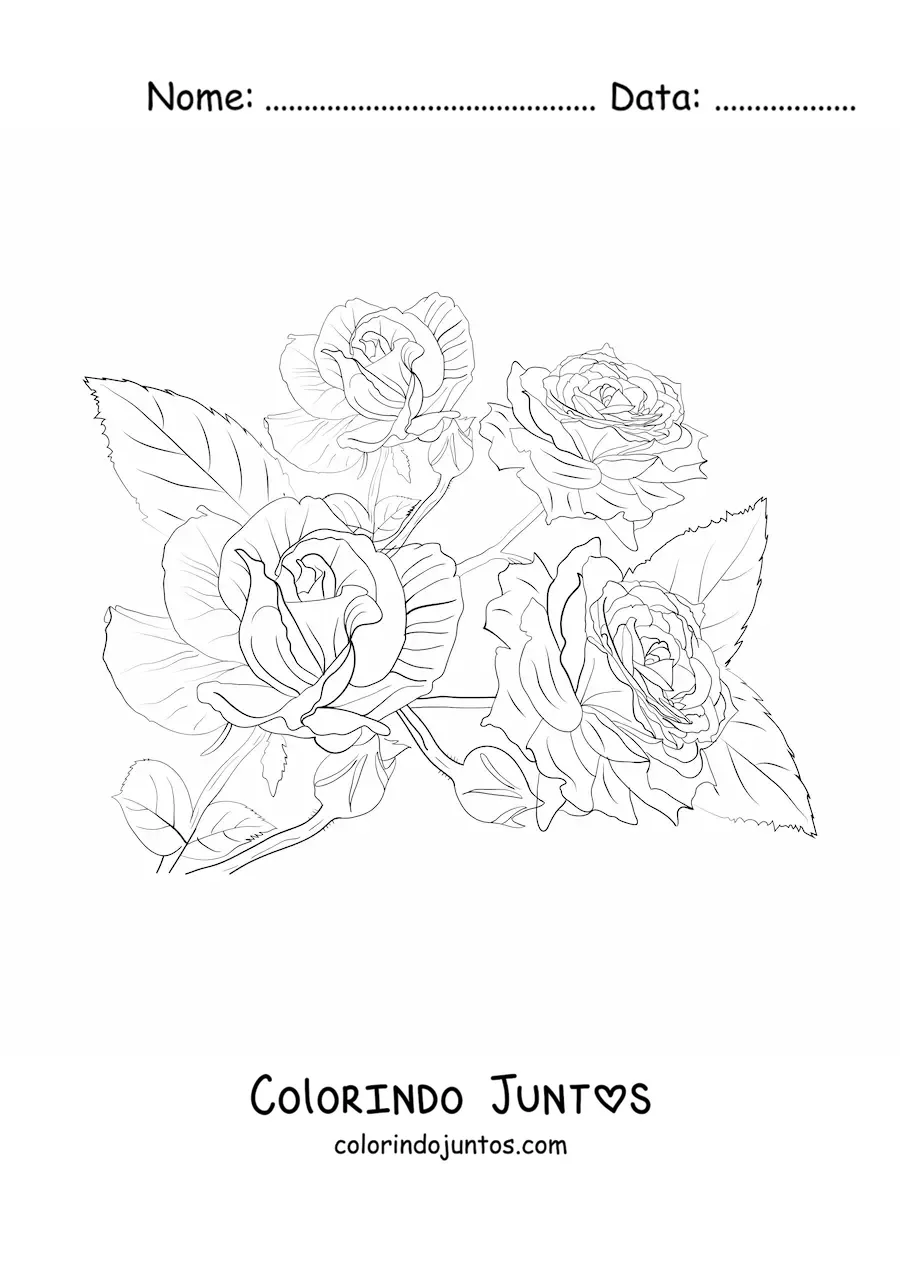 Desenho para colorir de quatro rosas lindas realistas com folhas