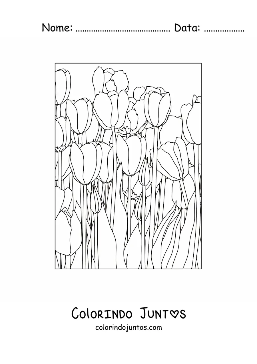 Desenho para colorir de um campo de tulipas