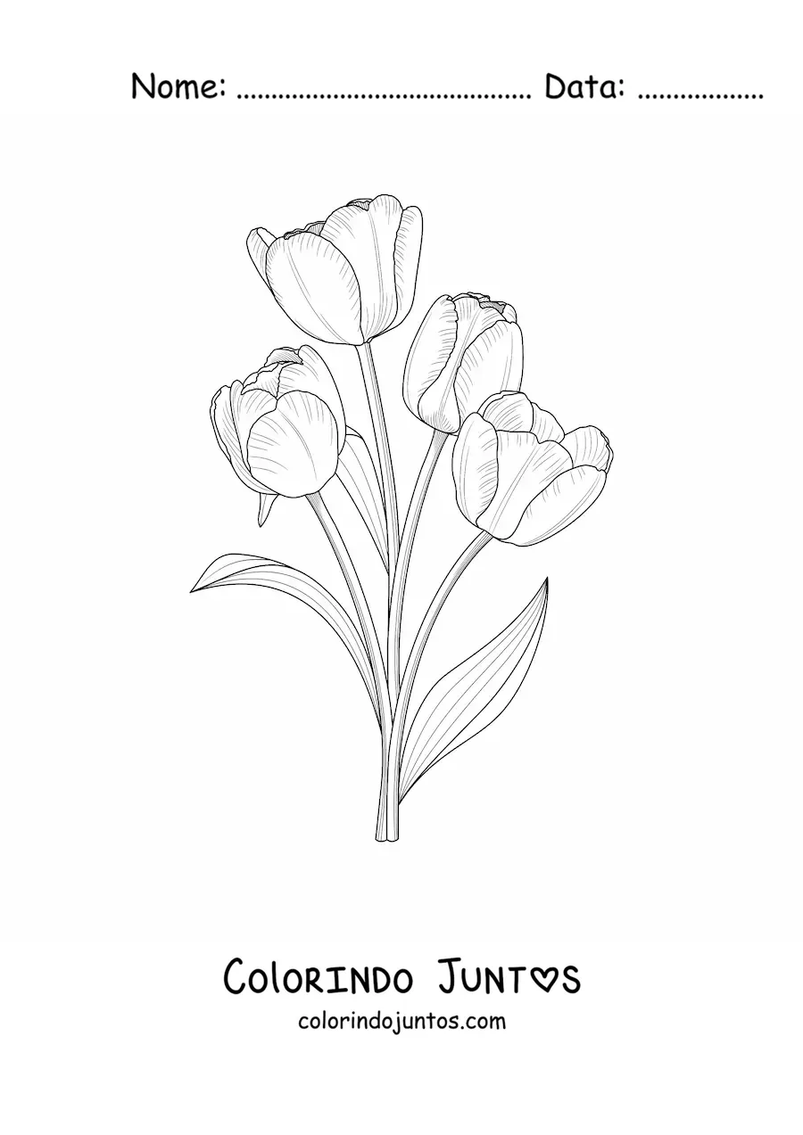 Desenho para colorir de quatro tulipas realistas