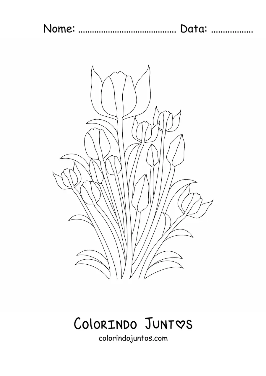 Desenho para colorir de várias tulipas com folhas