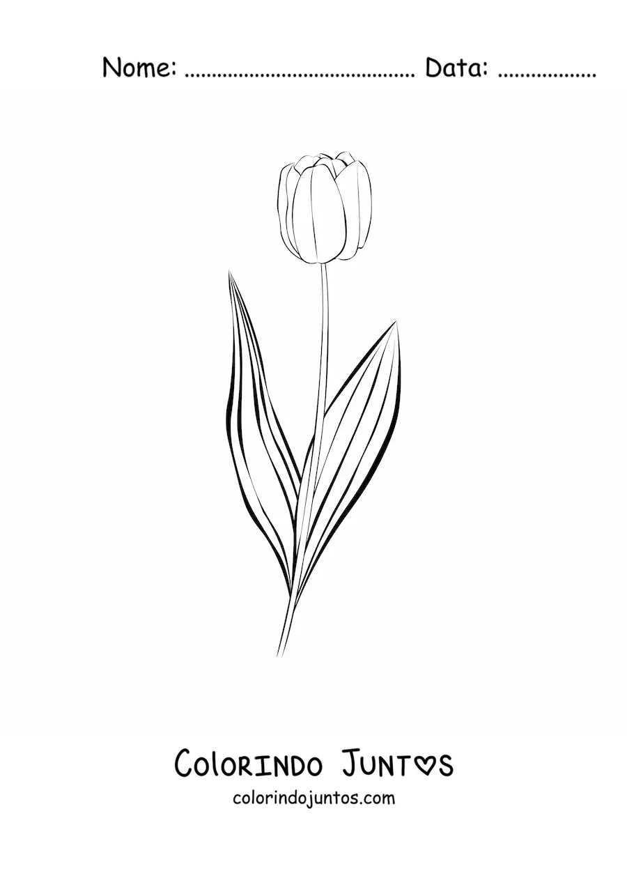 Desenho para colorir de uma tulipa pequena com folhas