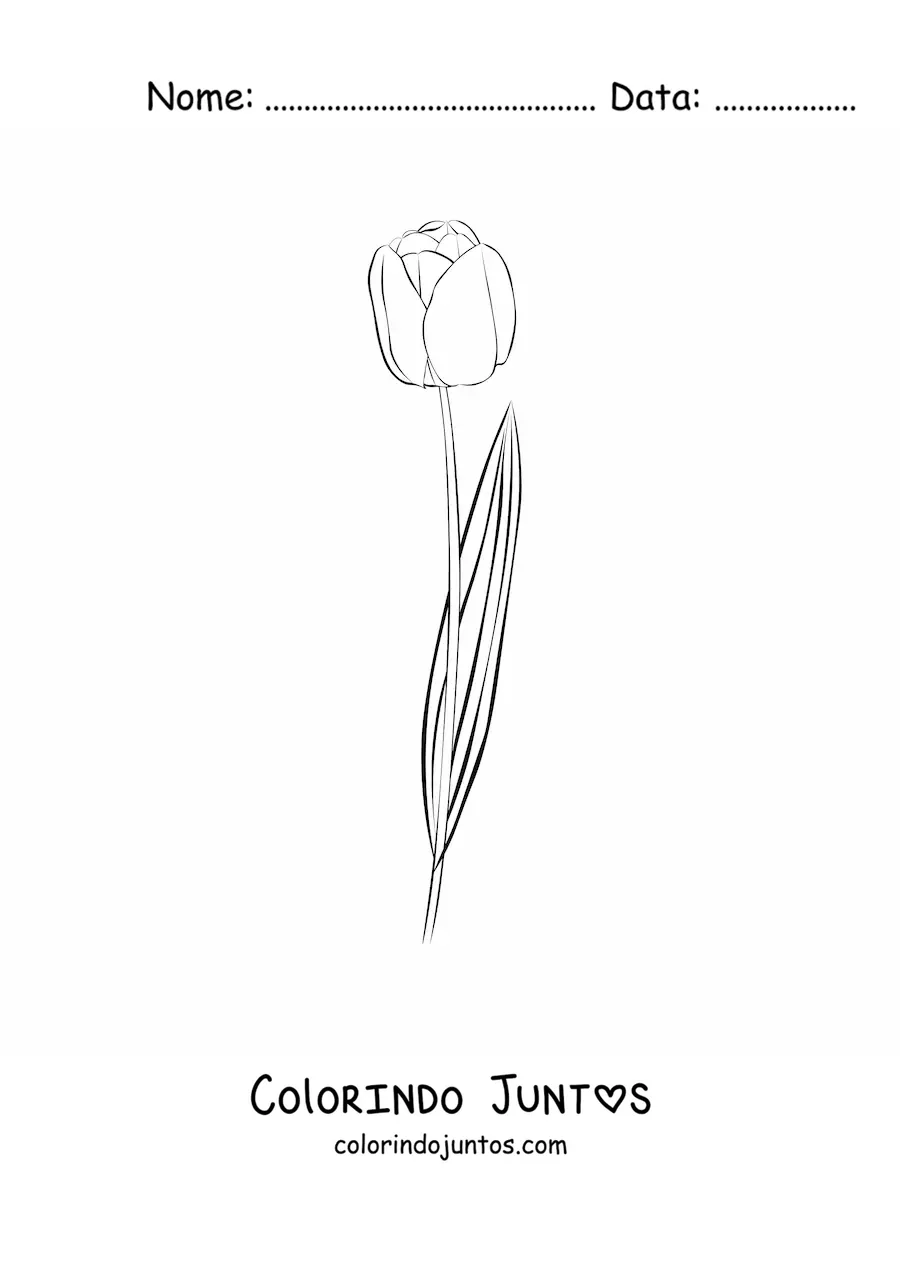 Desenho para colorir de uma tulipa pequena com uma folha