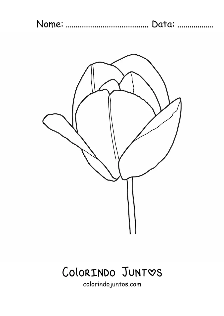 Desenho para colorir de uma tulipa grande