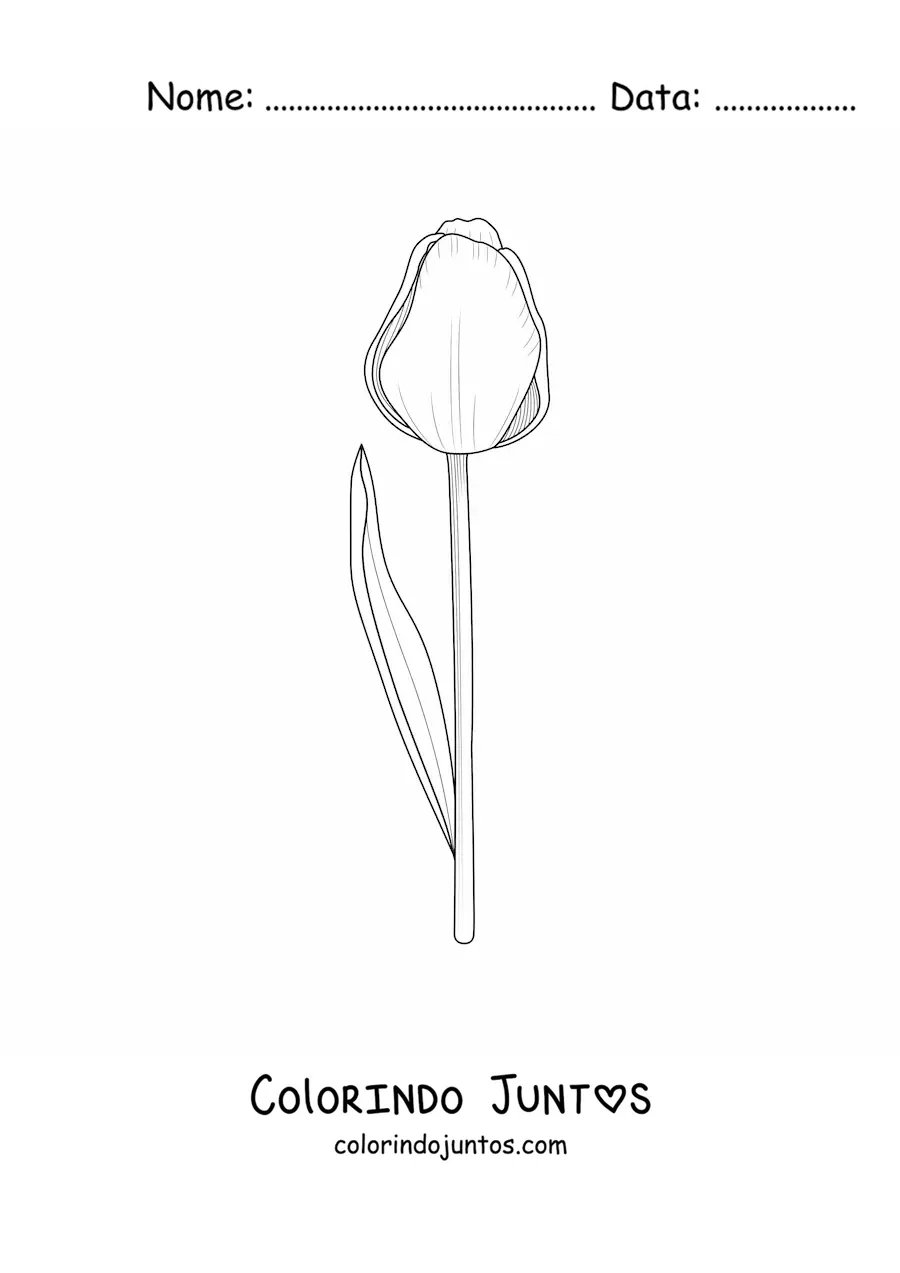 Desenho para colorir de uma tulipa