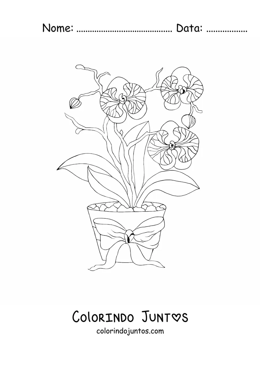 Desenho para colorir de três orquídeas phalaenopsis em um vaso
