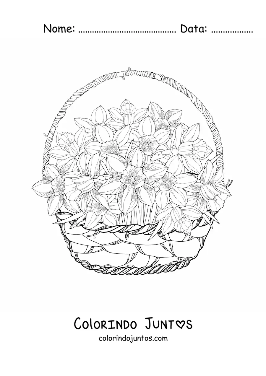 Desenho para colorir de uma cesta de orquídeas cattleya