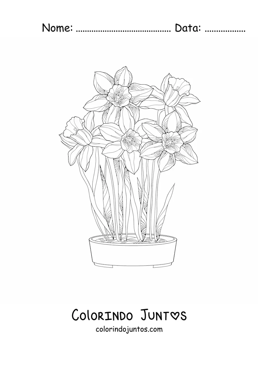 Desenho para colorir de várias orquídeas cattleya em um vaso