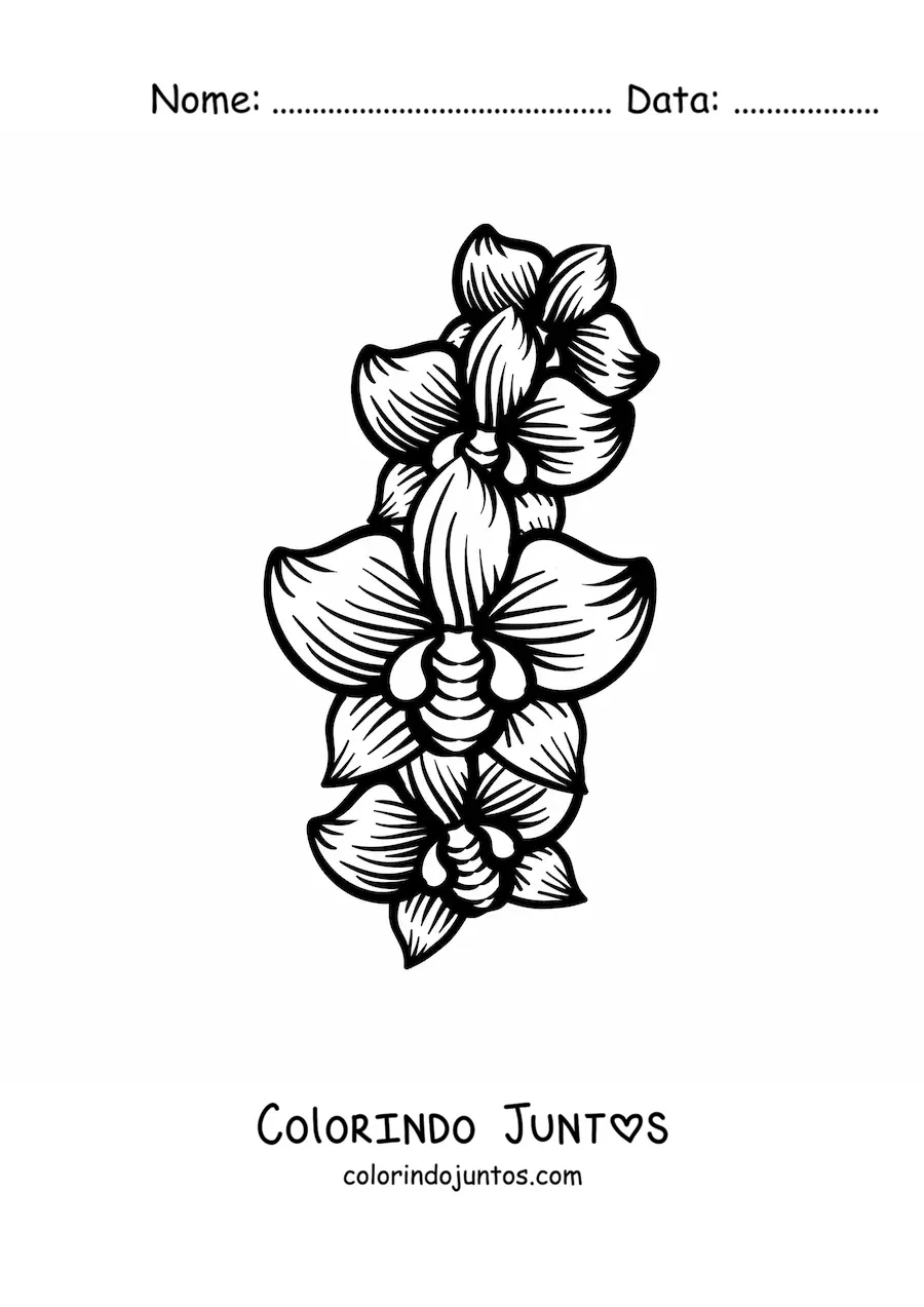 Desenho para colorir de três orquídeas grandes