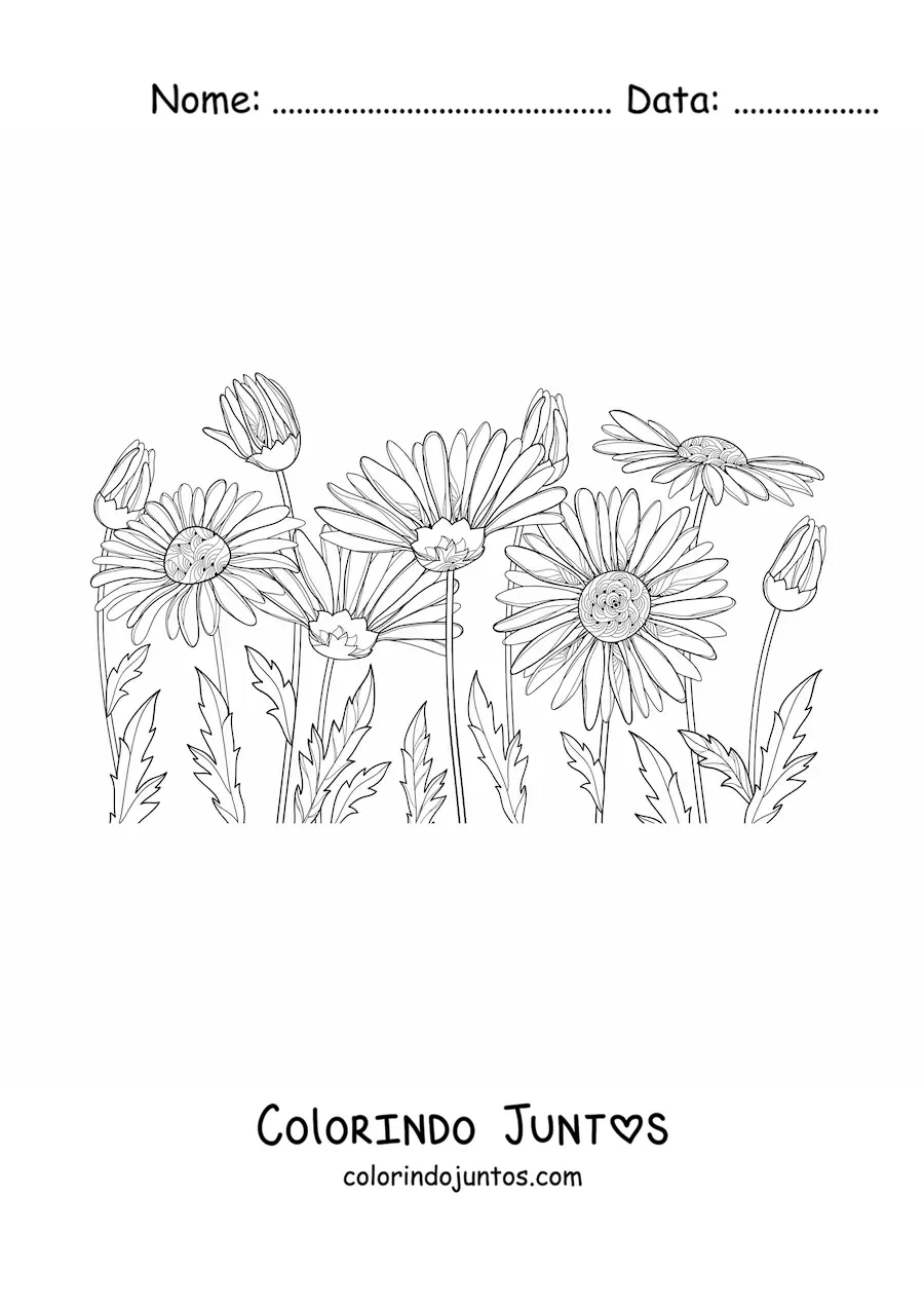 Desenho para colorir de um campo de margaridas