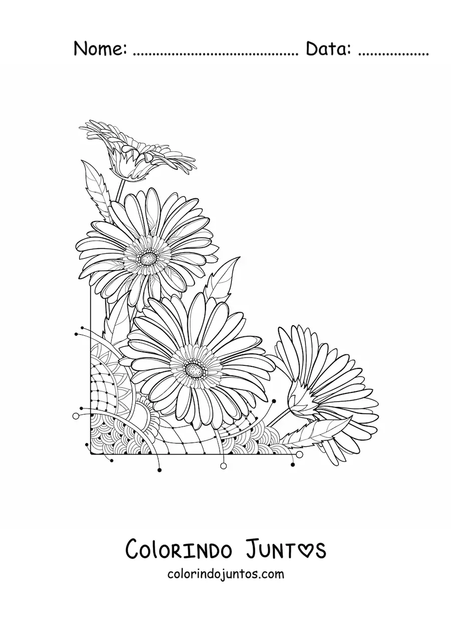 Desenho para colorir de quatro margaridas lindas
