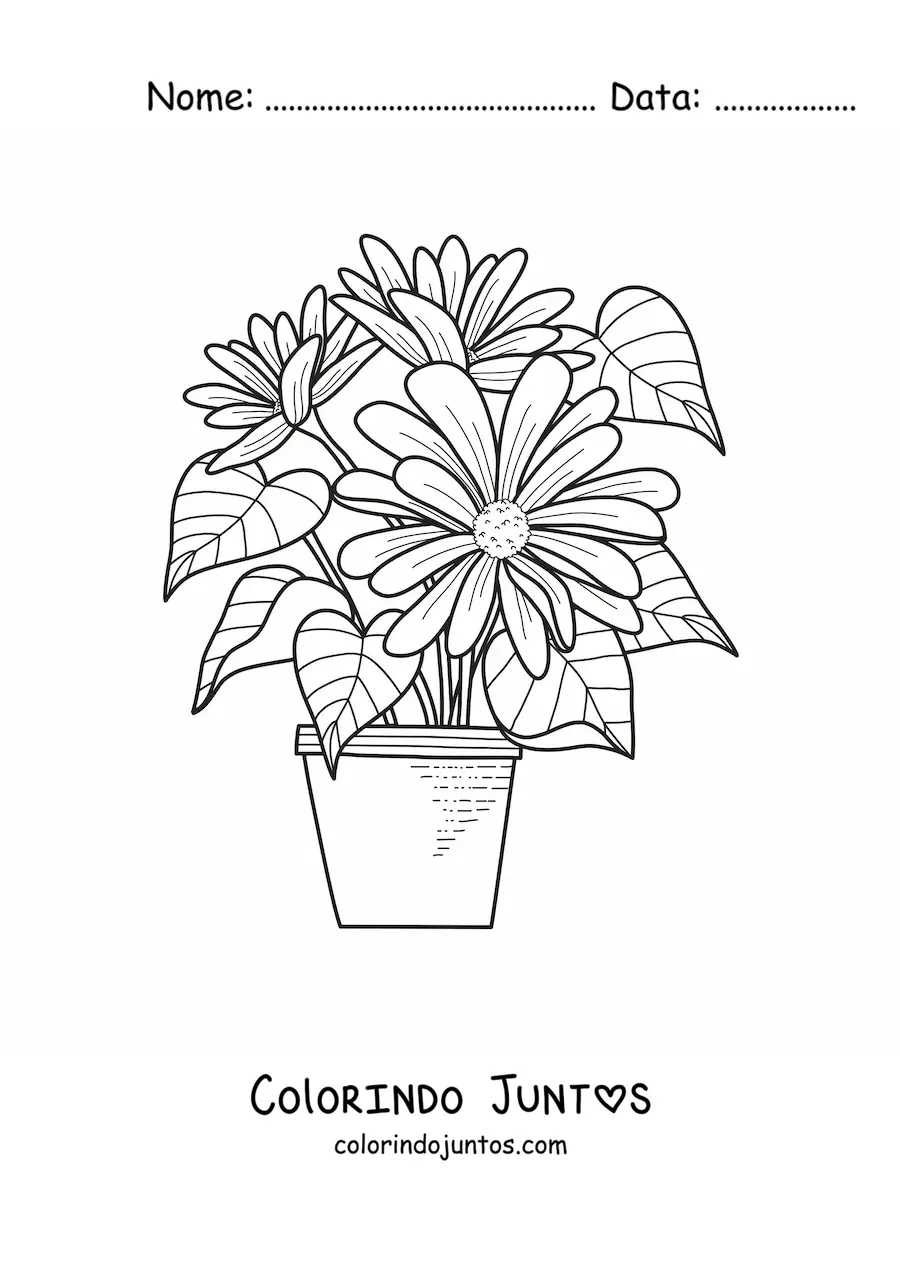Desenho para colorir de um vaso com margaridas