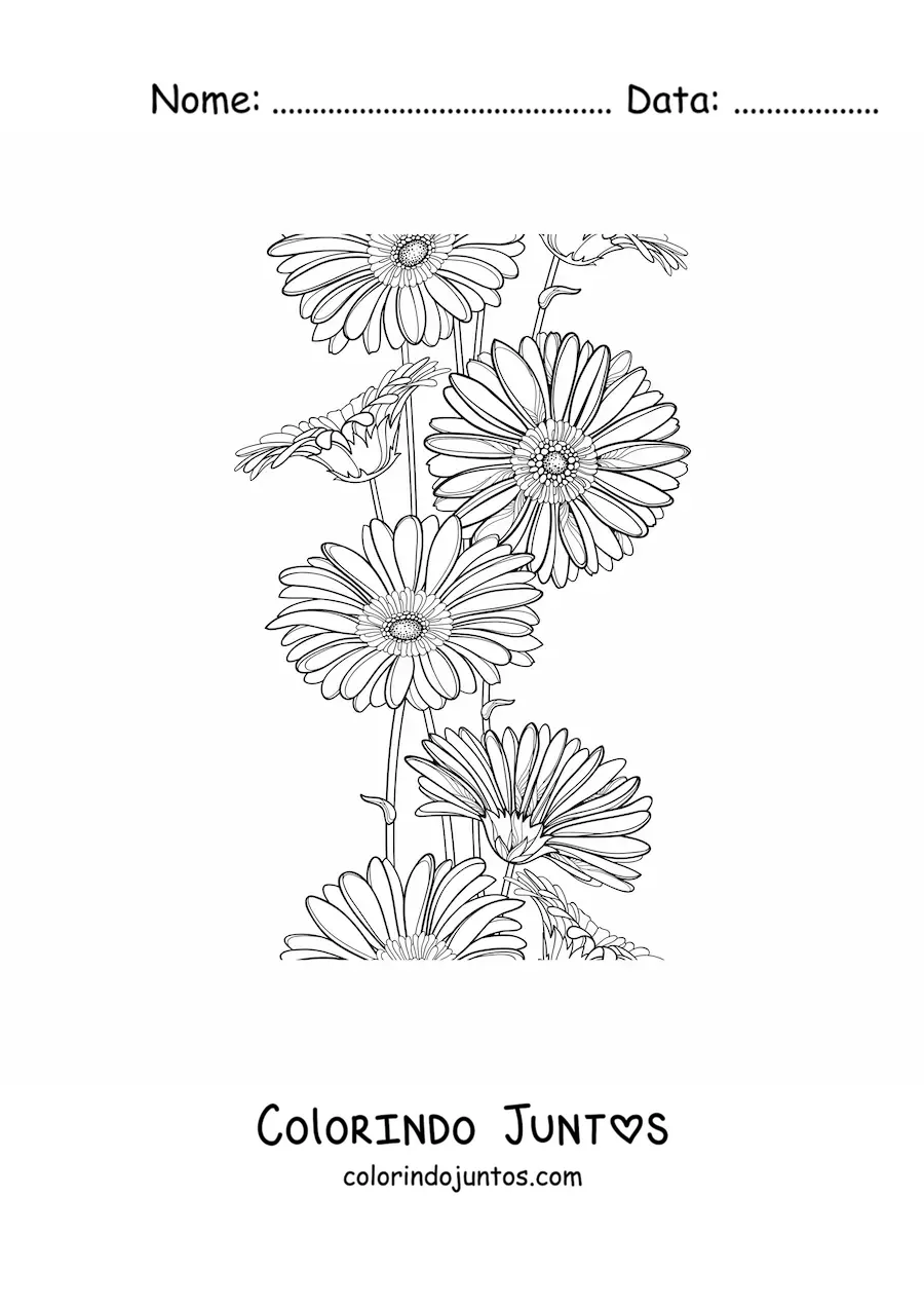 Desenho para colorir de várias margaridas