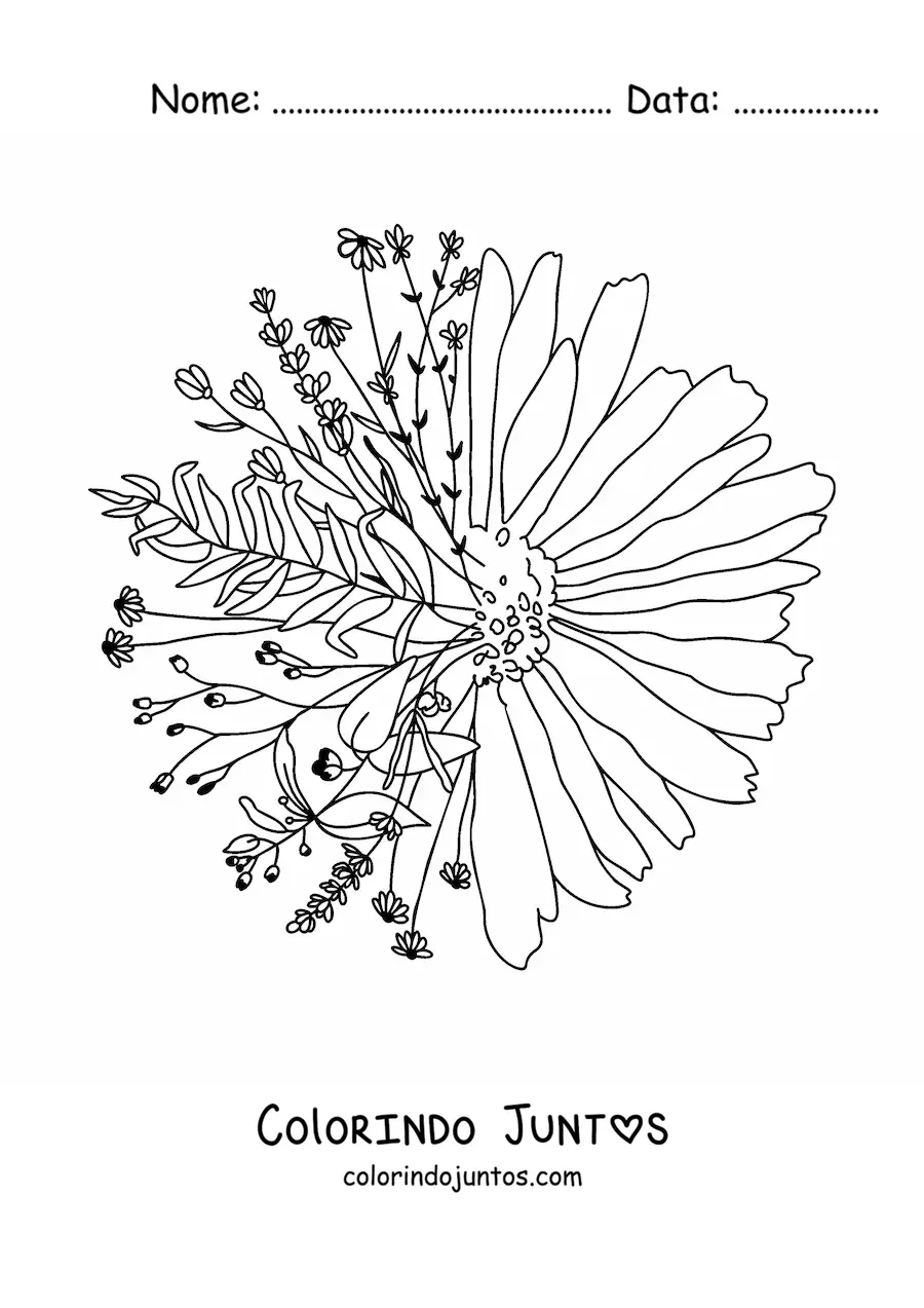 Desenho para colorir de uma margarida linda