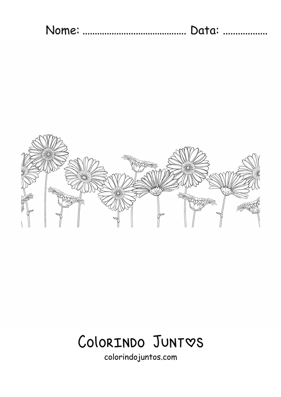 Desenho para colorir de um campo cheio de margaridas