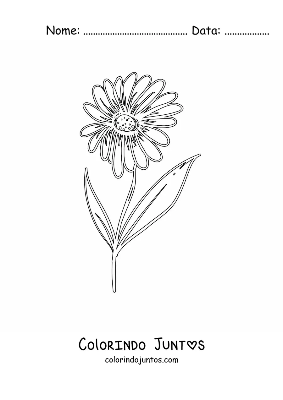 Desenho para colorir de uma margarida com folhas