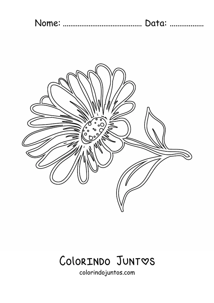 Desenho para colorir de uma margarida