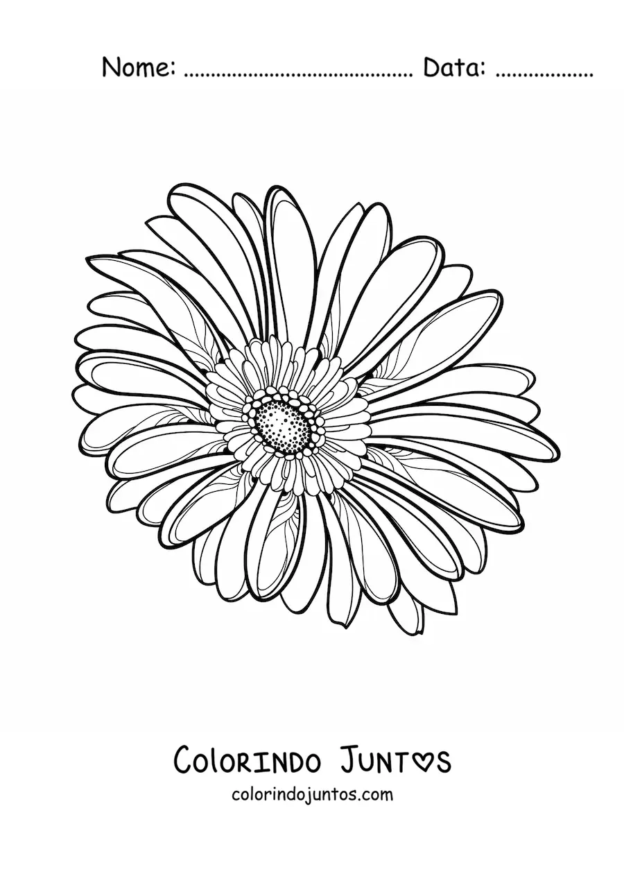 Desenho para colorir de uma margarida grande realista