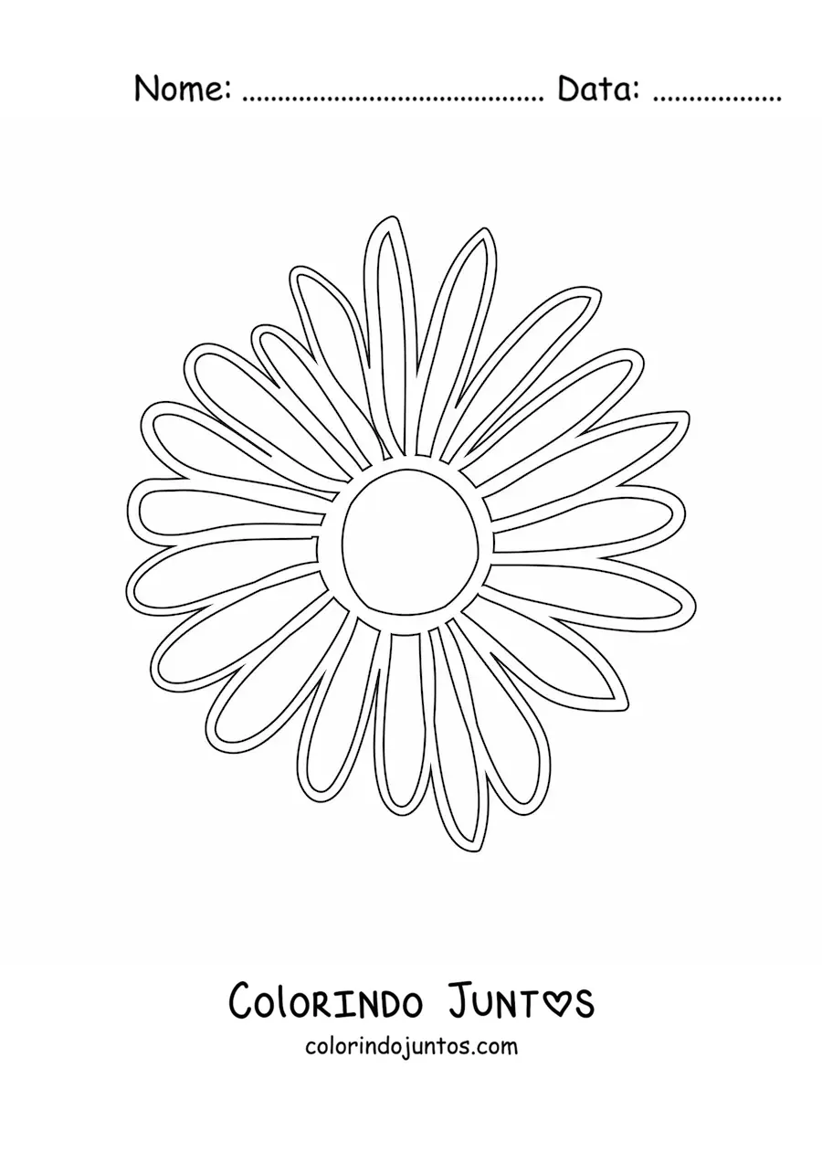 Desenho para colorir de uma margarida grande simples