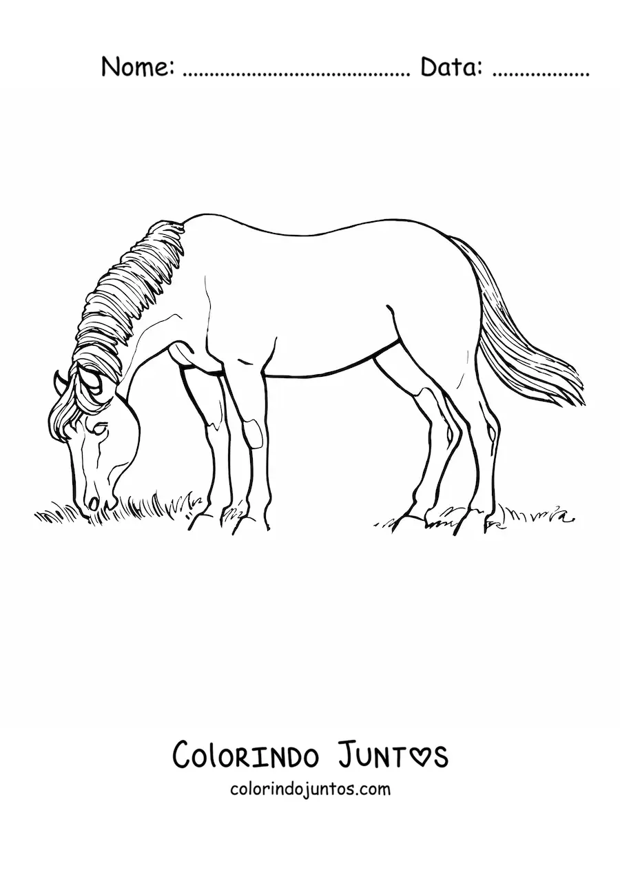Desenho para colorir de um cavalo pastando no campo