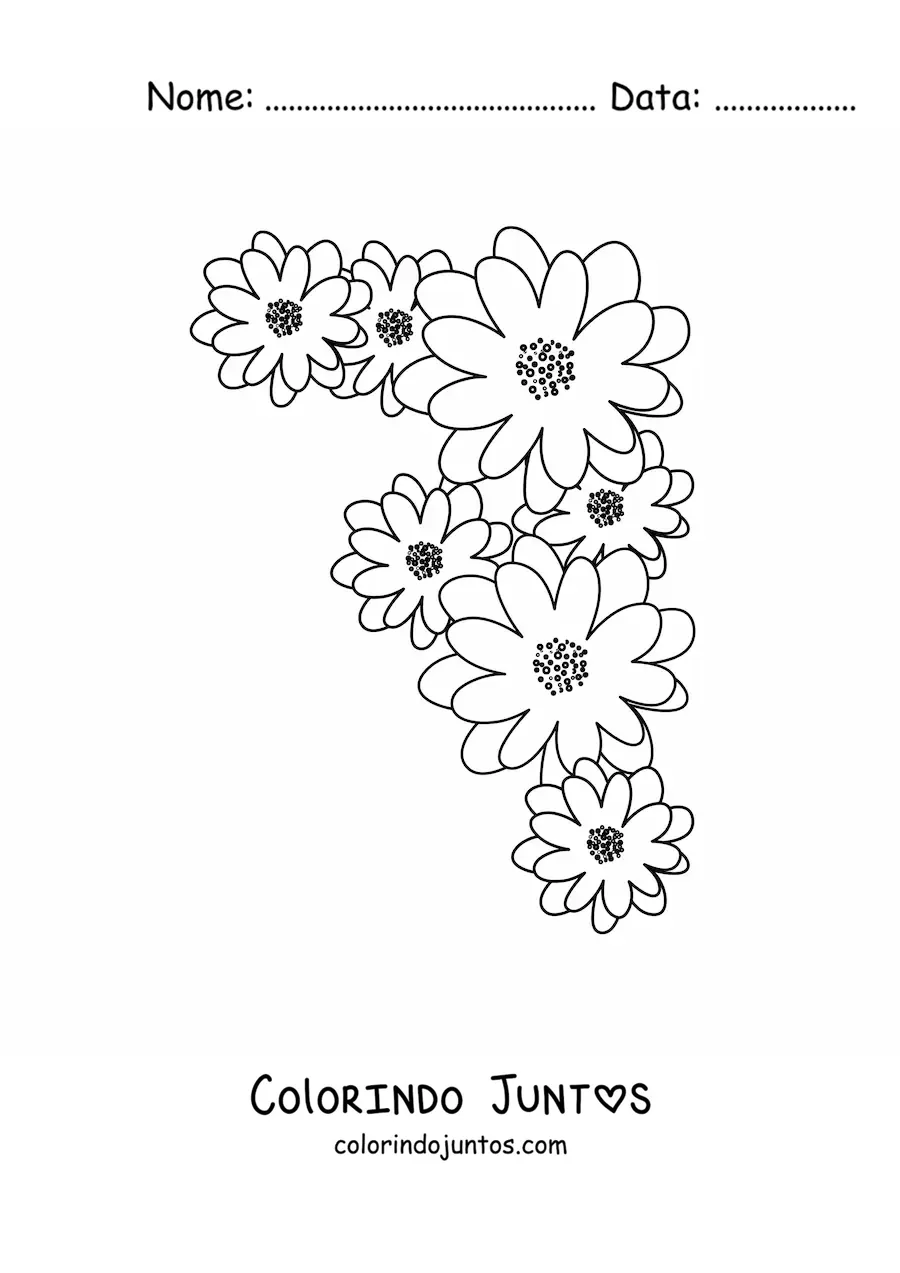 Desenho para colorir de várias margaridas pequenas