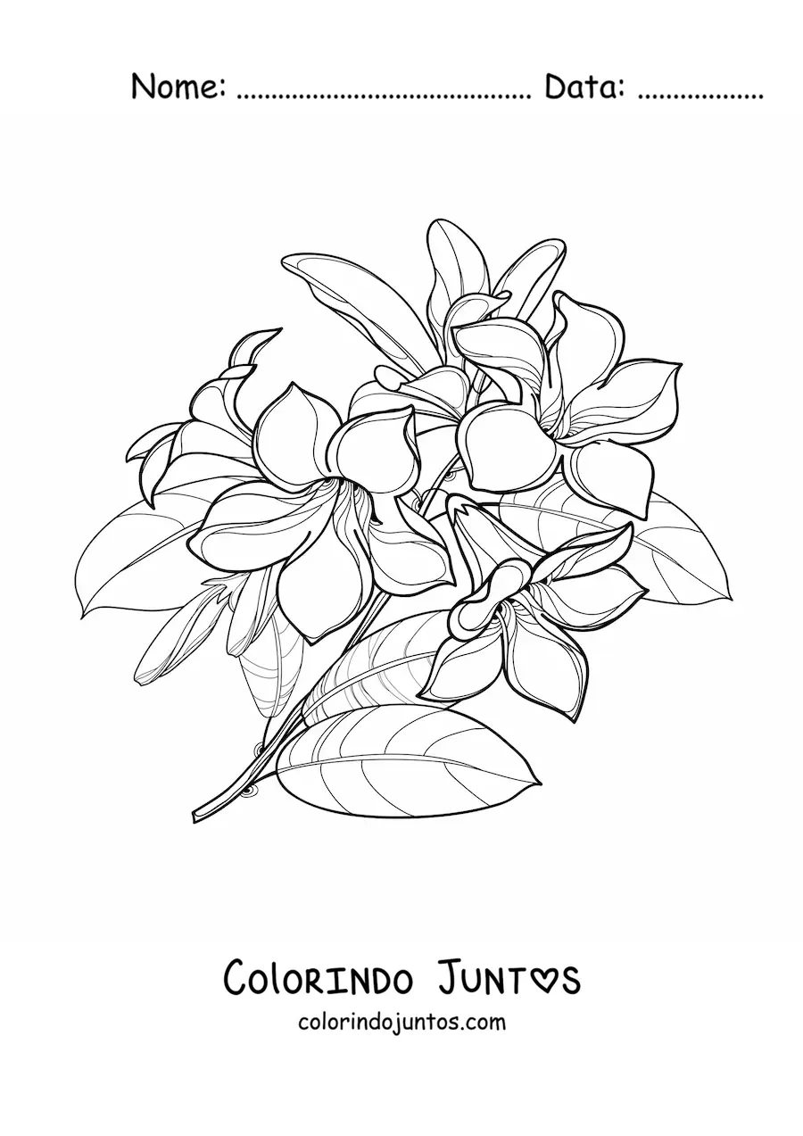 Desenho para colorir de um ramo de lírios com folhas