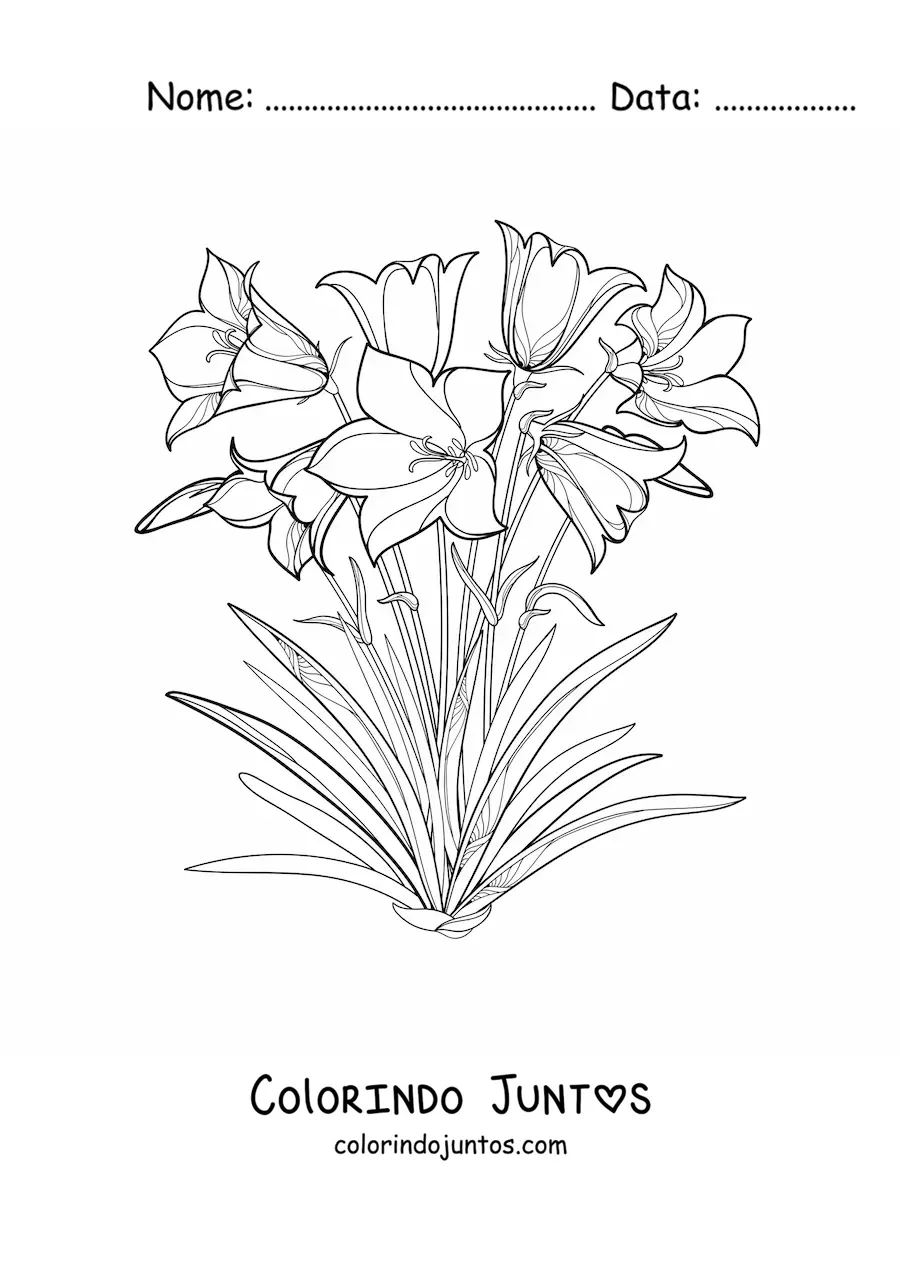 Desenho para colorir de vários lírios no campo