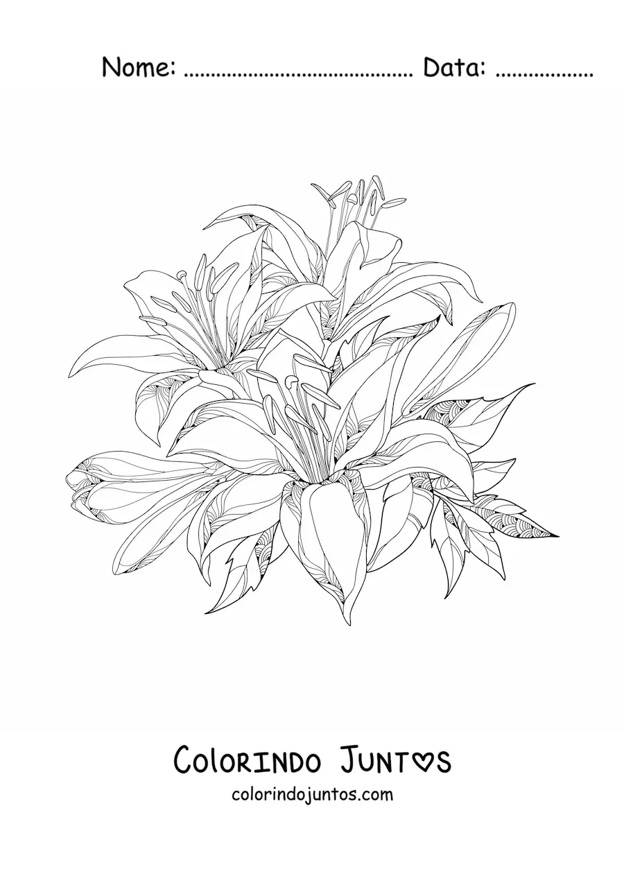 Desenho para colorir de um cacho de lírios realistas com folhas