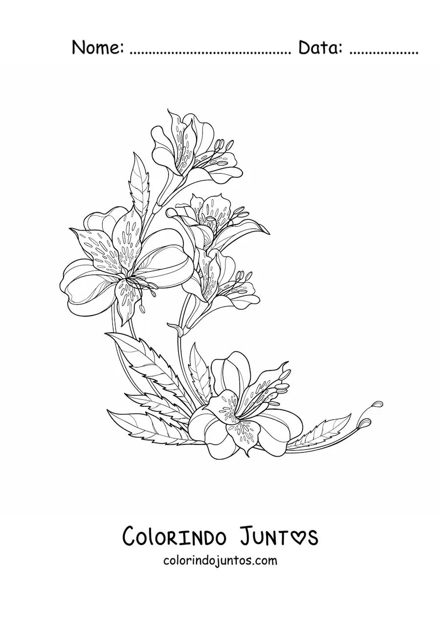 Desenho para colorir de cinco lírios realistas lindos com folhas