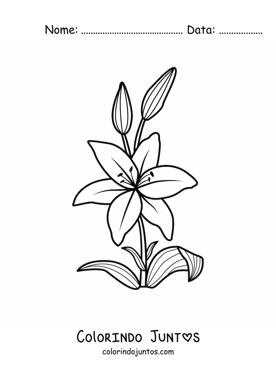 Desenho para colorir de um lírio simples com folhas