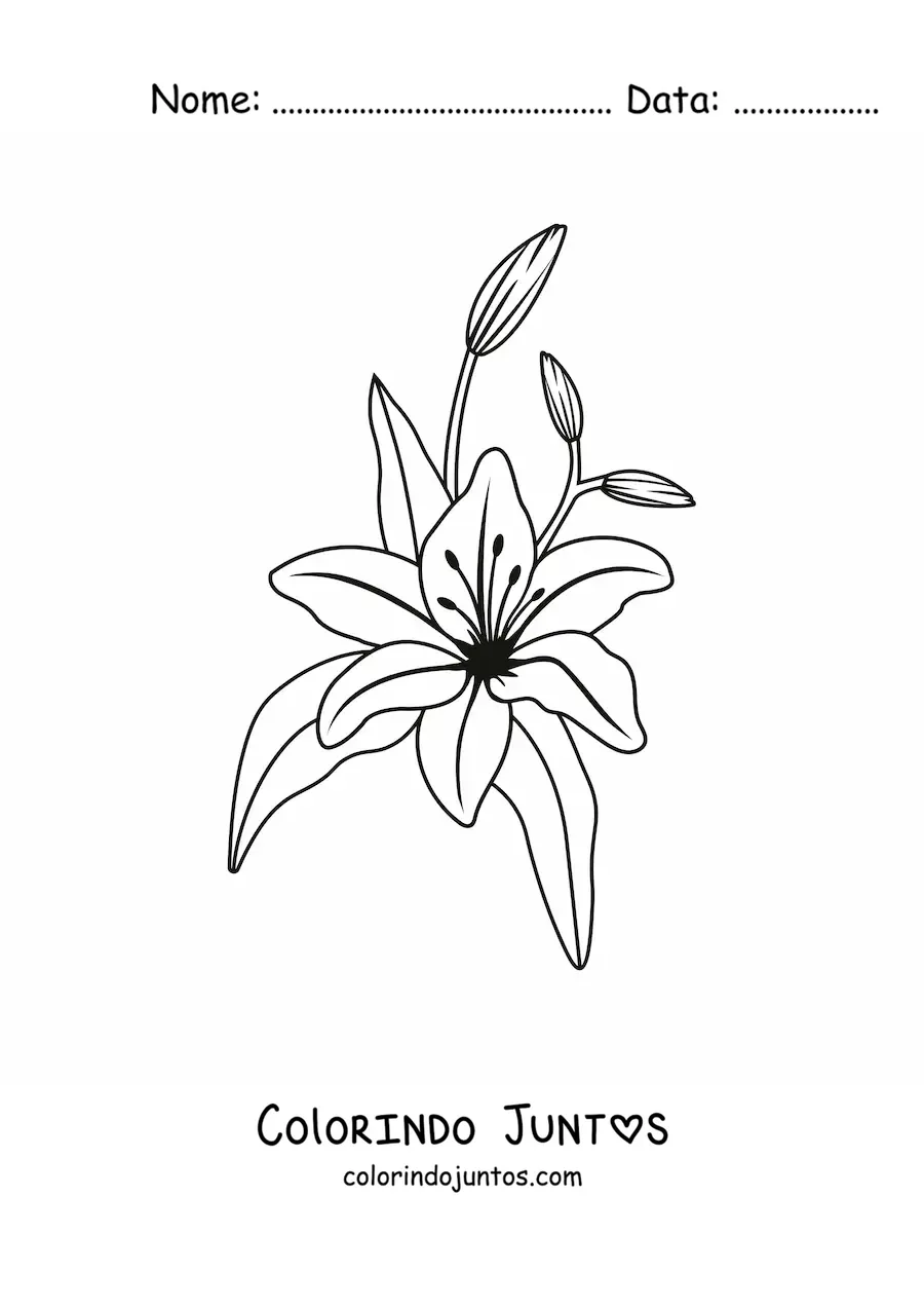 Desenho para colorir de um lírio com folhas