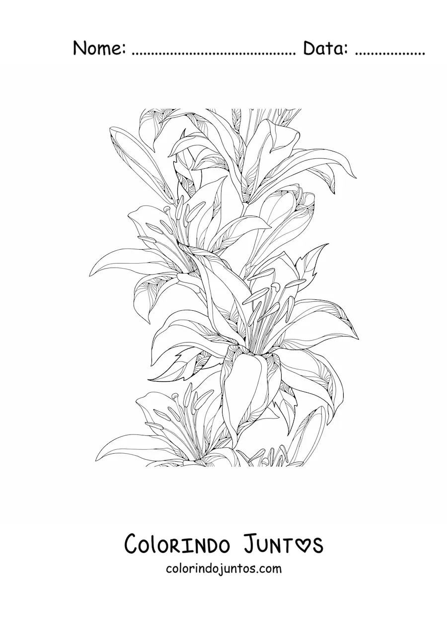 Desenho para colorir de vários lírios selvagens realistas