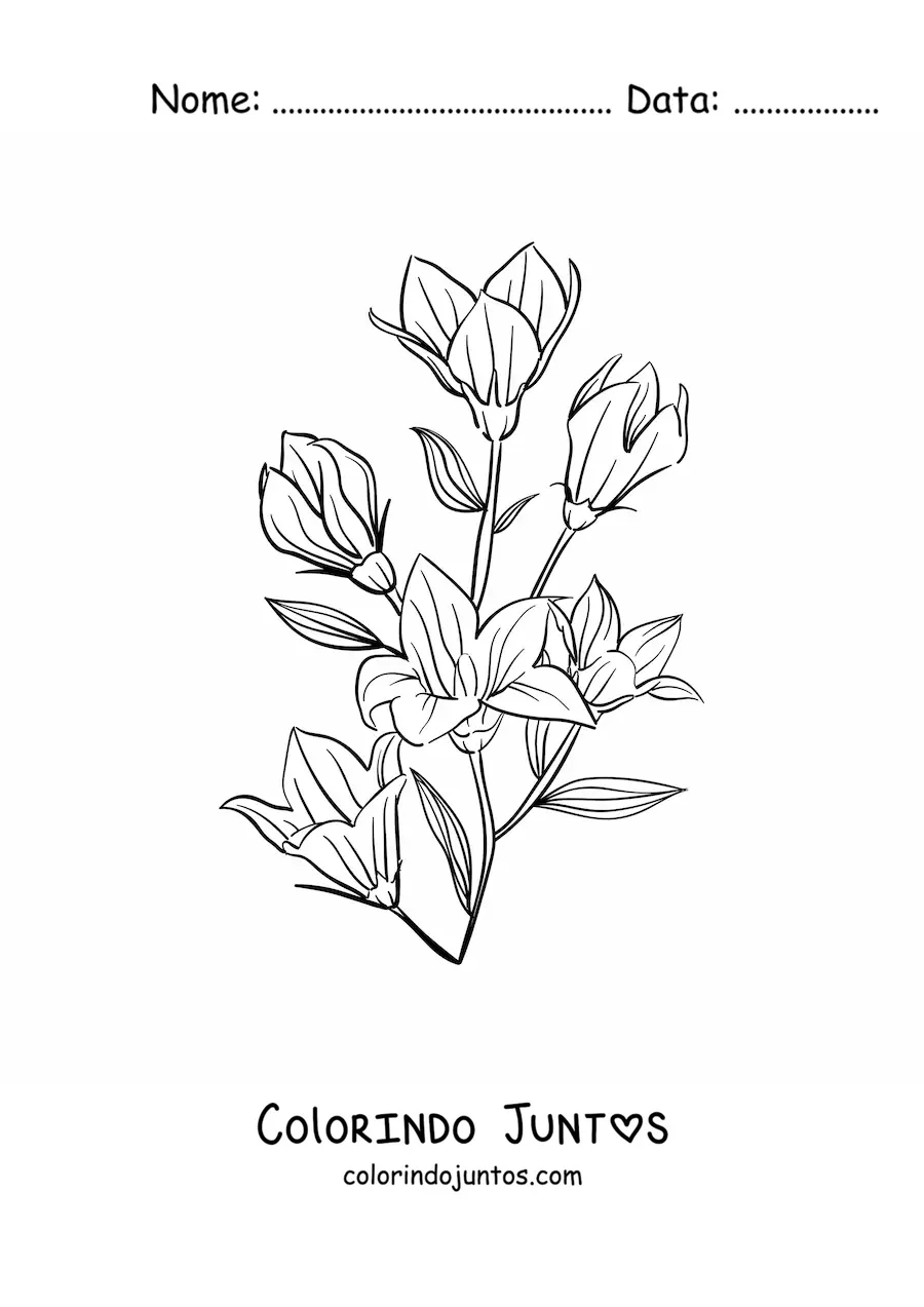 Desenho para colorir de vários lírios com folhas