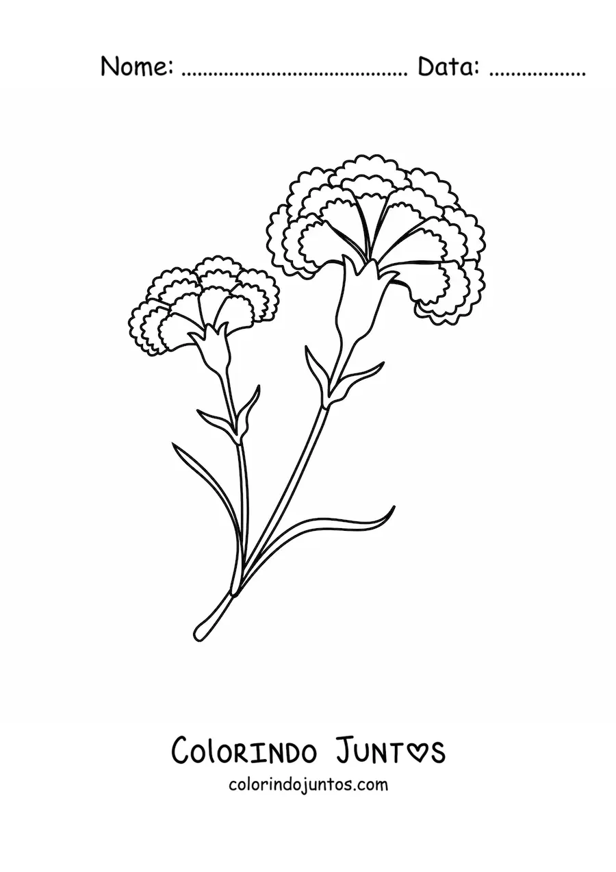 Desenho para colorir de dois cravos lindos