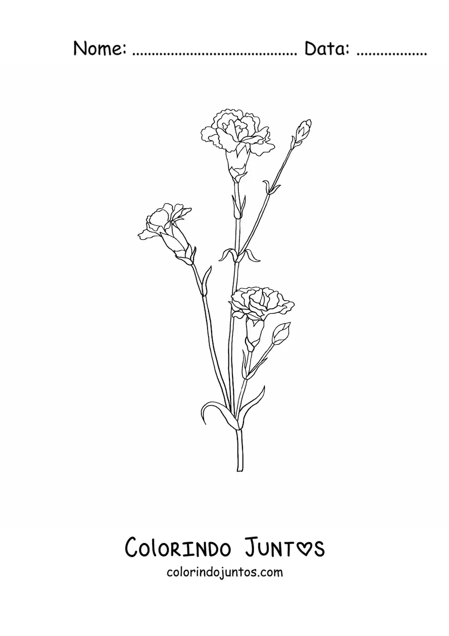 Desenho para colorir de três cravos pequenos