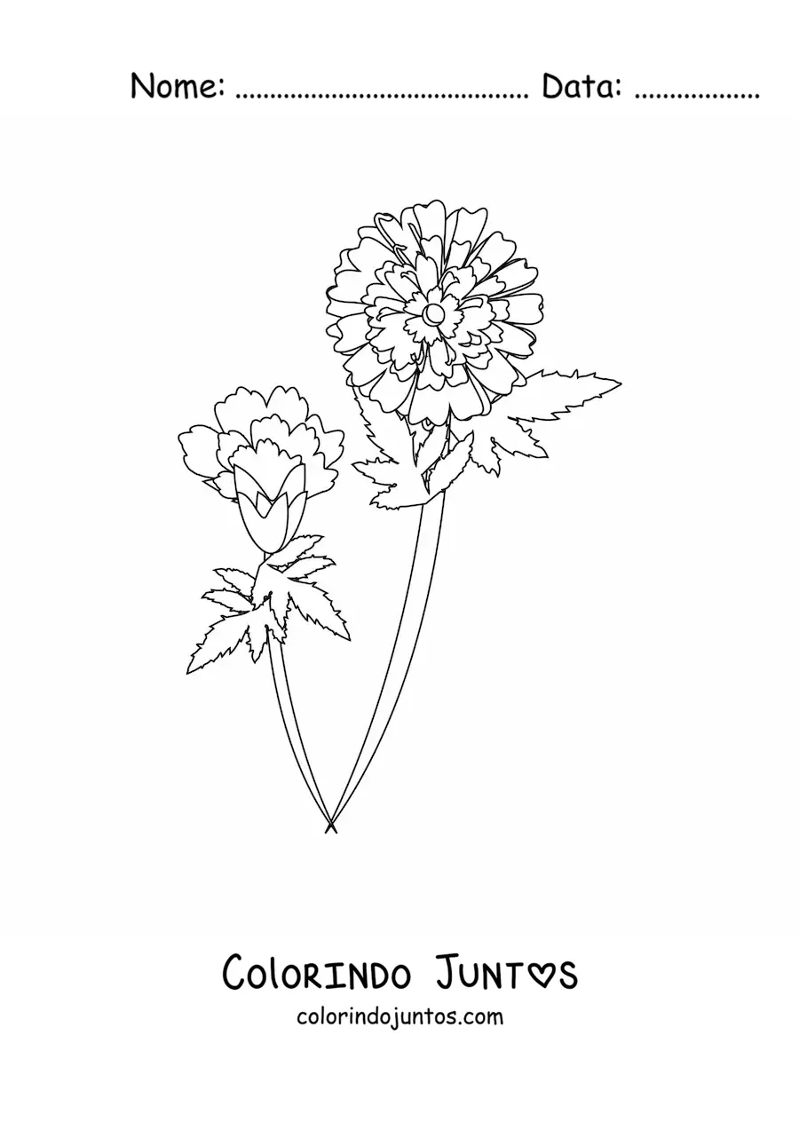 Desenho para colorir de dois cravos com folhas