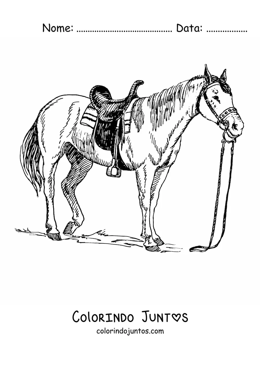 Desenho para colorir de um cavalo selado com as rédeas soltas