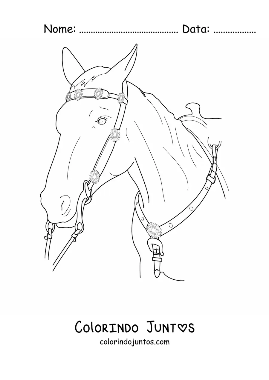 Desenho para colorir de uma cabeça de cavalo com as rédeas colocadas