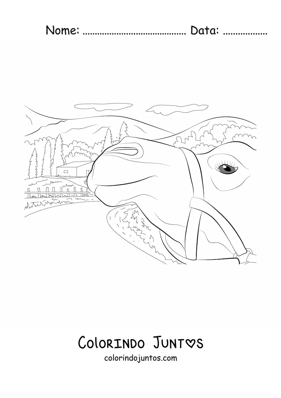 Desenho para colorir de um camelo com uma casa ao fundo